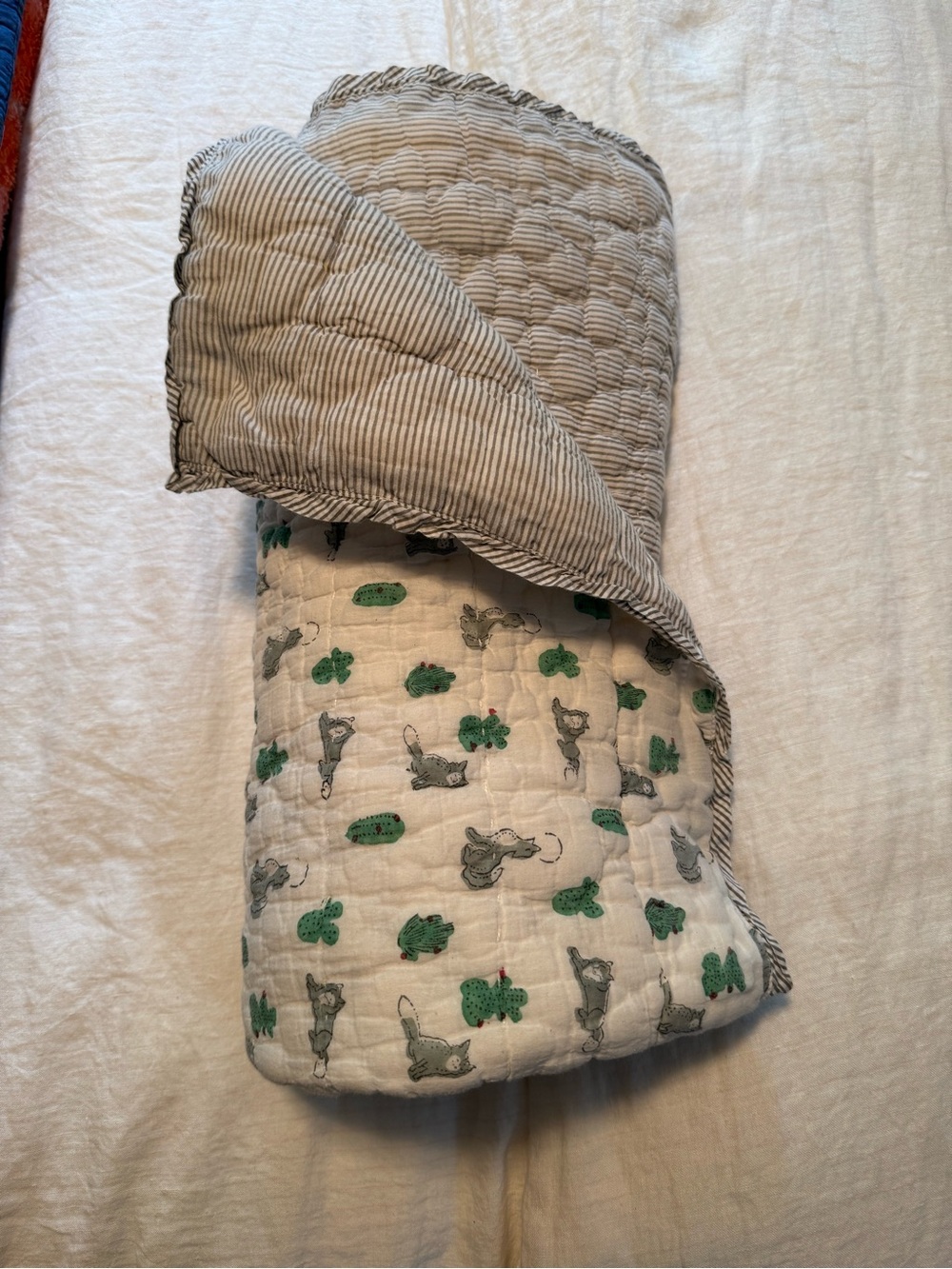 Roberta Roller Rabbit Fox& Cacti Baby Quilt Blanket